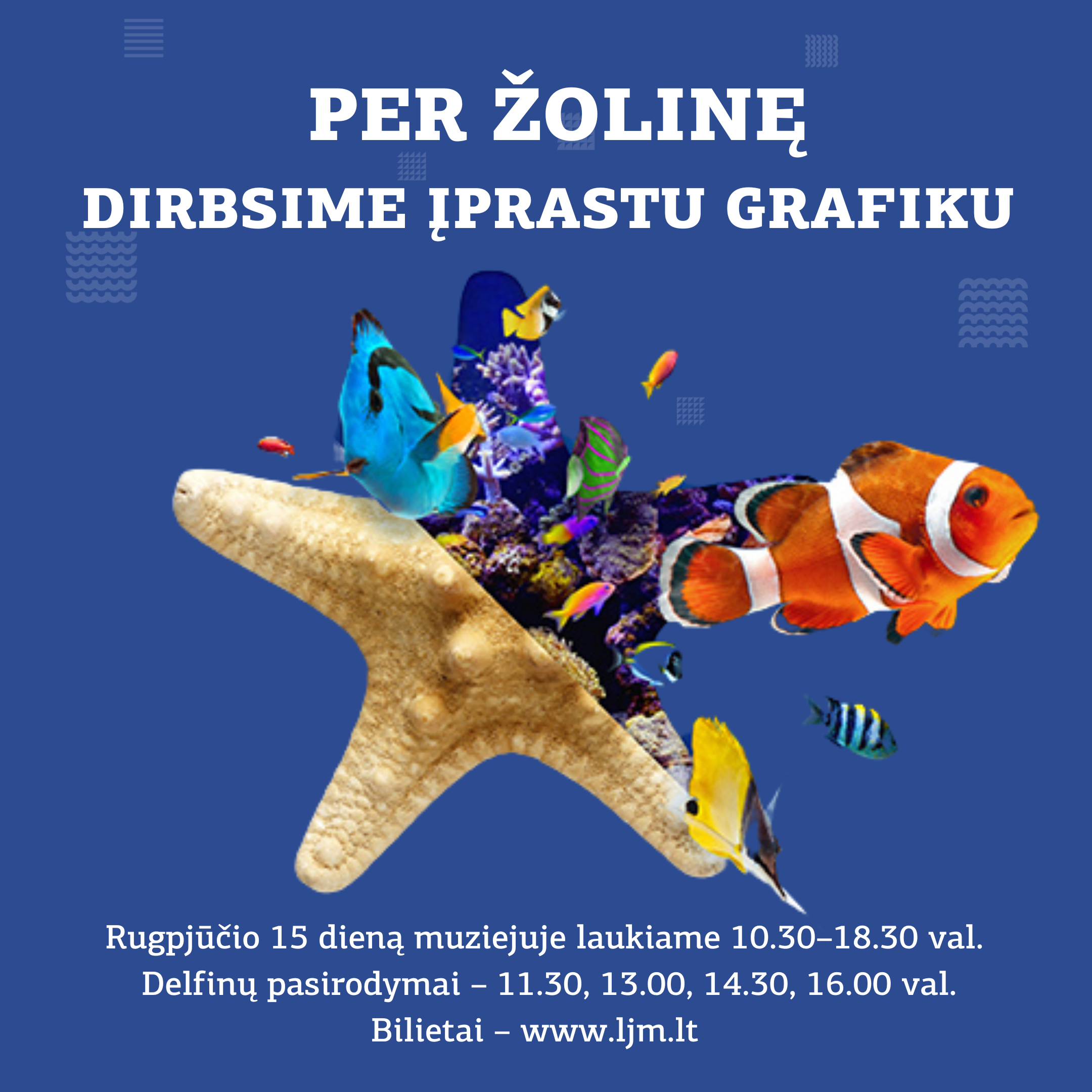 Žolinė