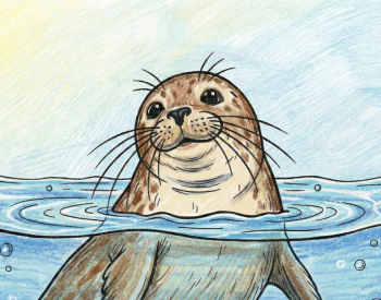 Edukacija Susipažinkime: aš ruonis!