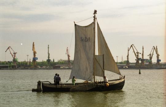 Kurėnas - SAIL Amsterdam